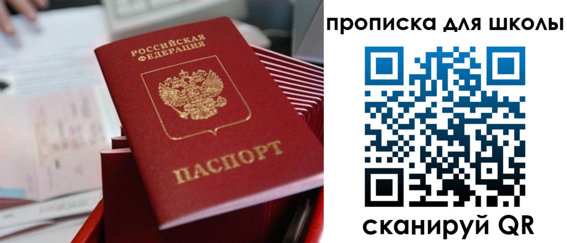 прописка для школы в Волгоградской области